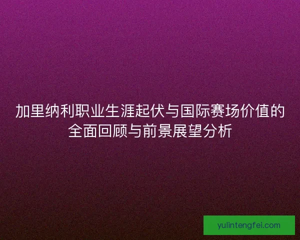 加里纳利职业生涯起伏与国际赛场价值的全面回顾与前景展望分析 加里纳利职业生涯起伏与国际赛场价值的全面回顾与前景展望分析